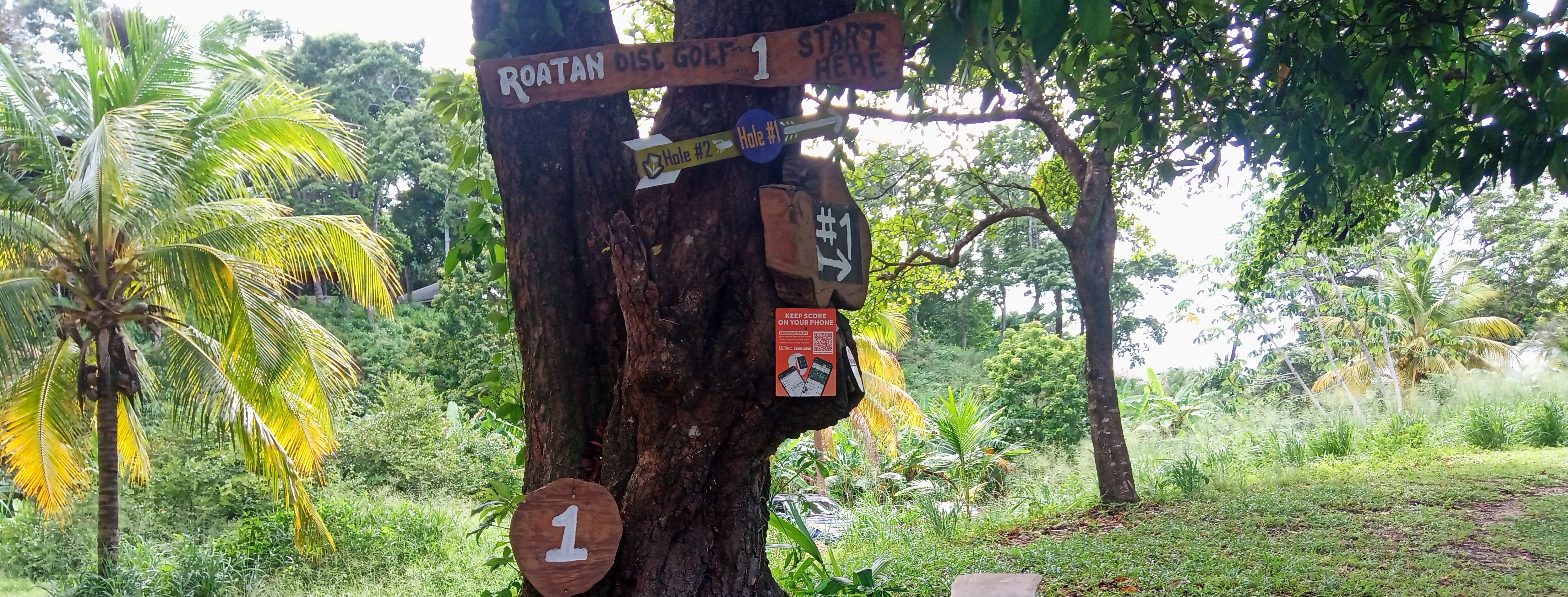 Roatan Disc Golf League