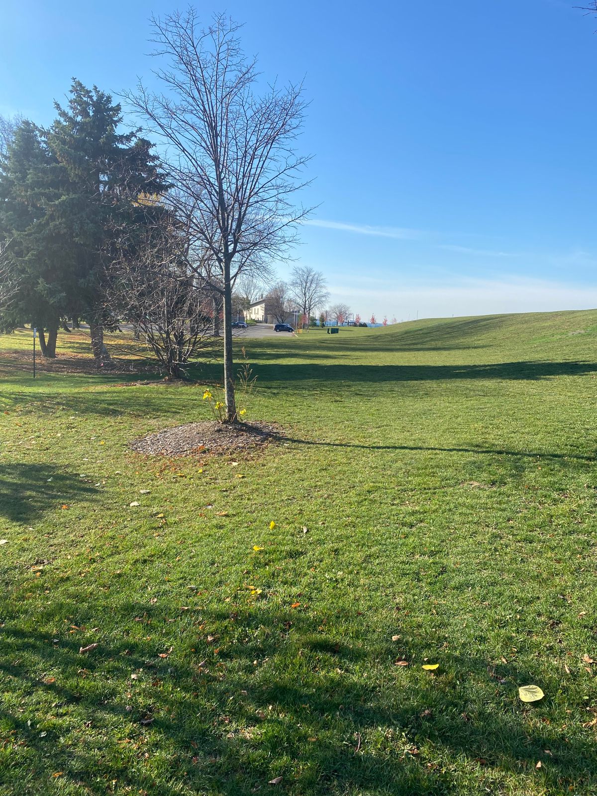 #3 long tee