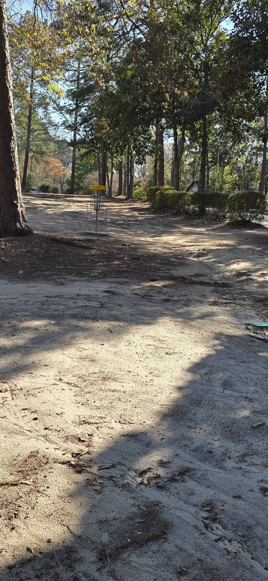 Hole 10 basket