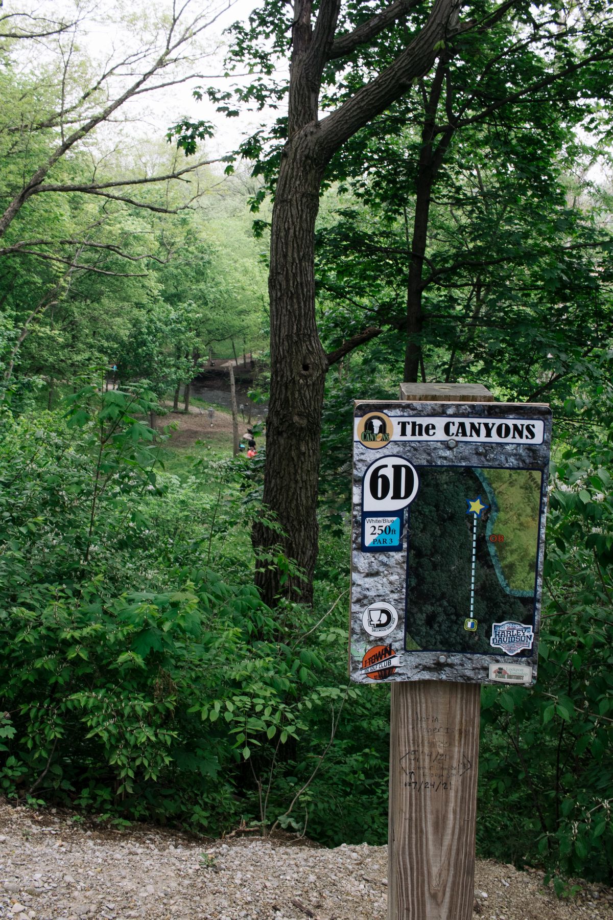 Hole 6D