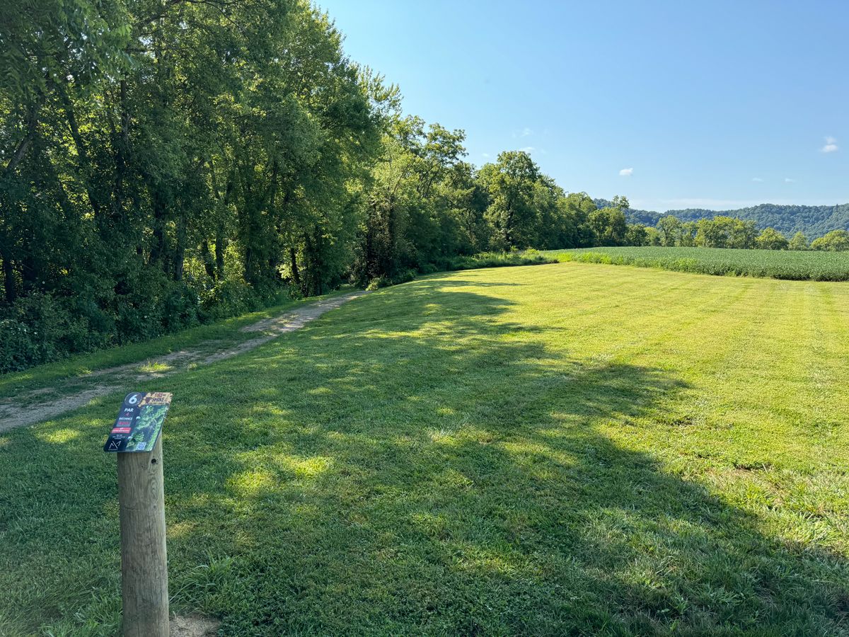 Hole 6 Tes