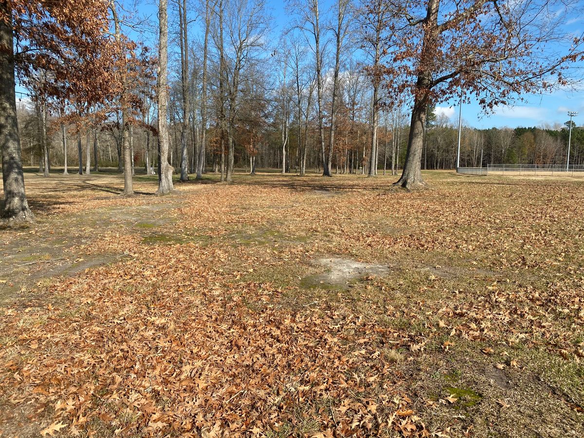 Hole 11 short fairway