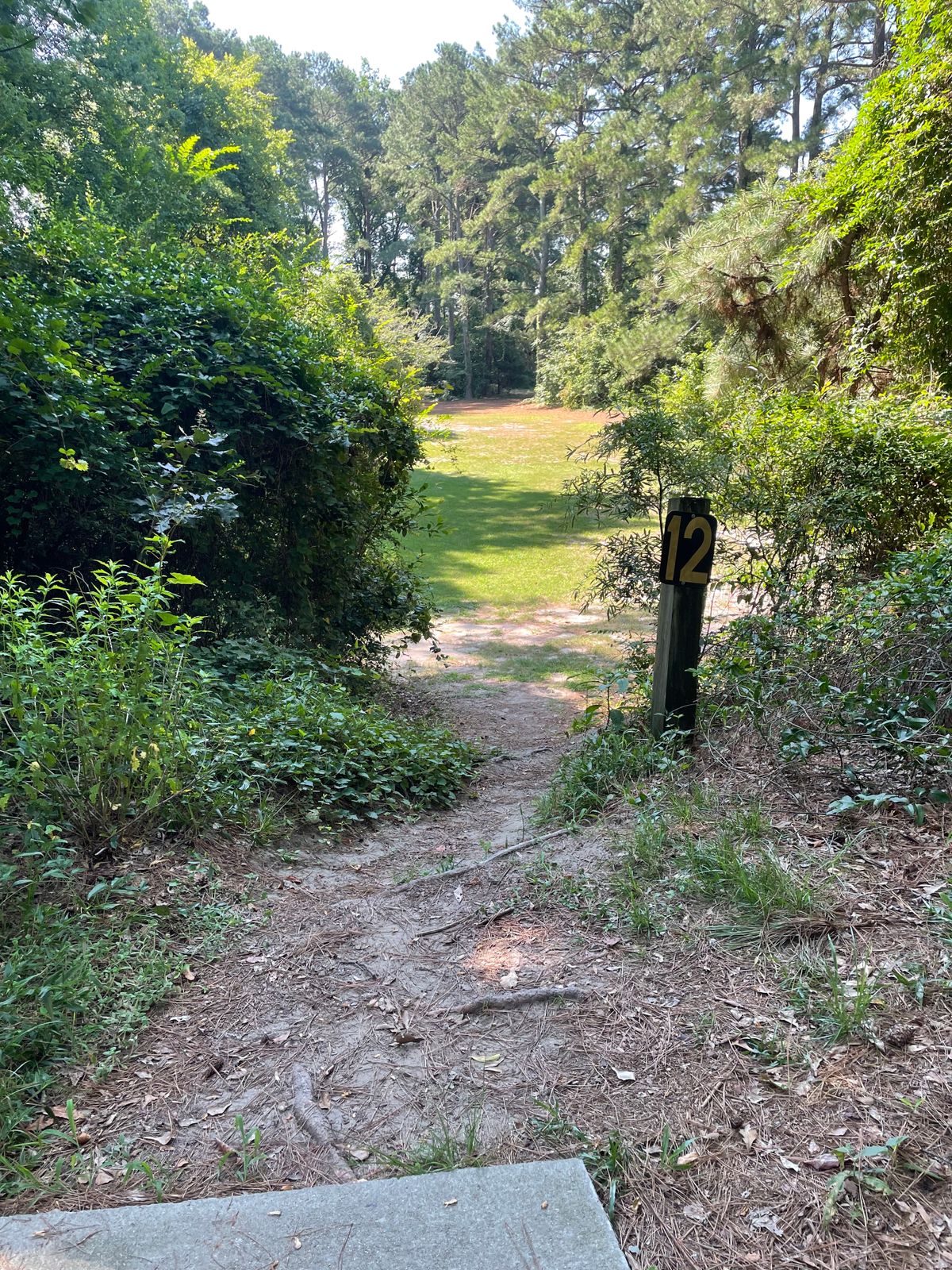 Hole #12 From The Tee Pad