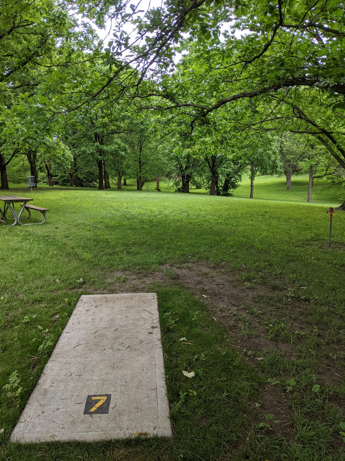 Tee 7