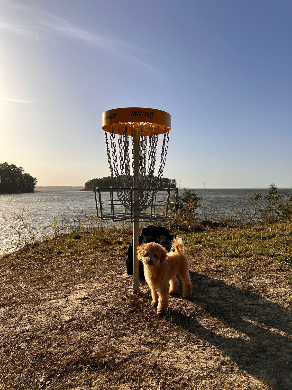 Hole 6 Basket