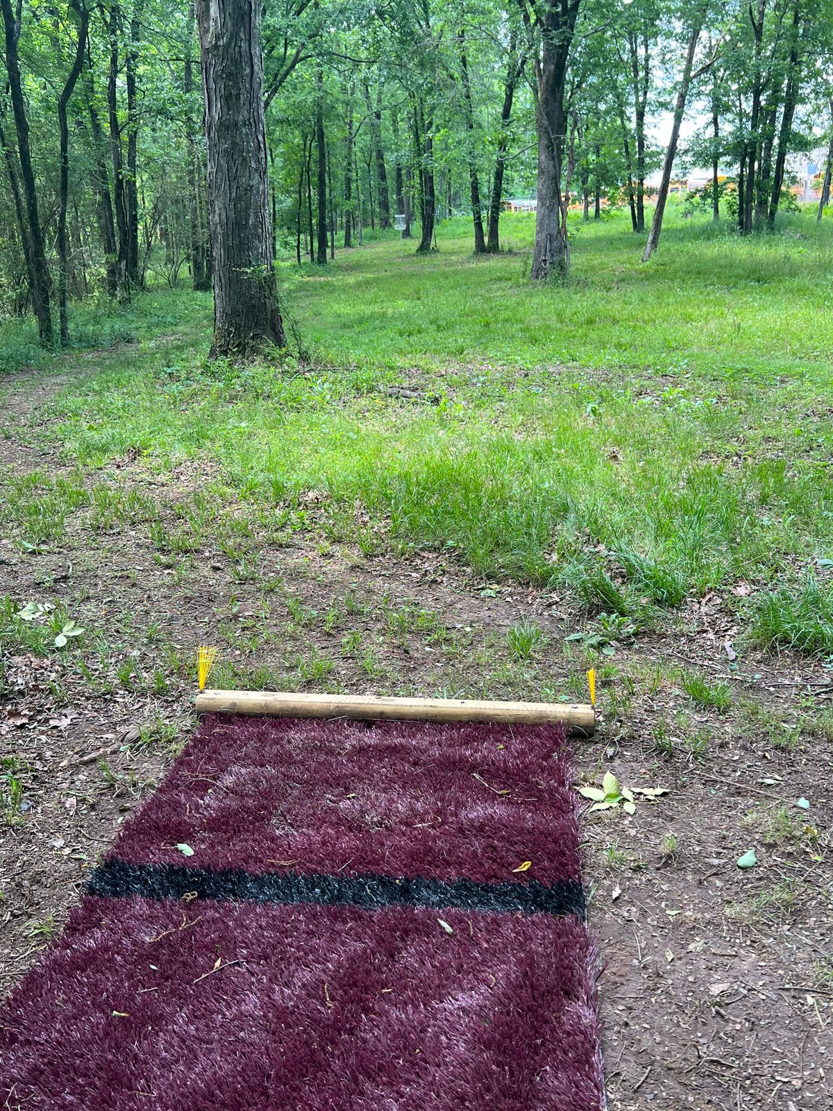 Hole 5 tee pad and basket. 207 feet