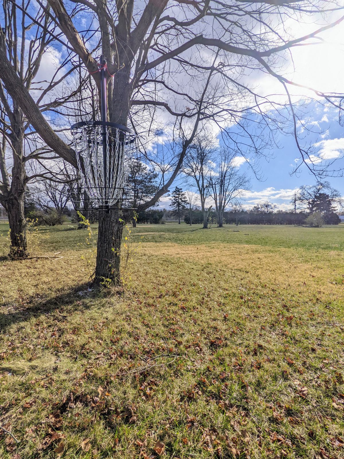 Hole 3's hanging basket looking back to tee.