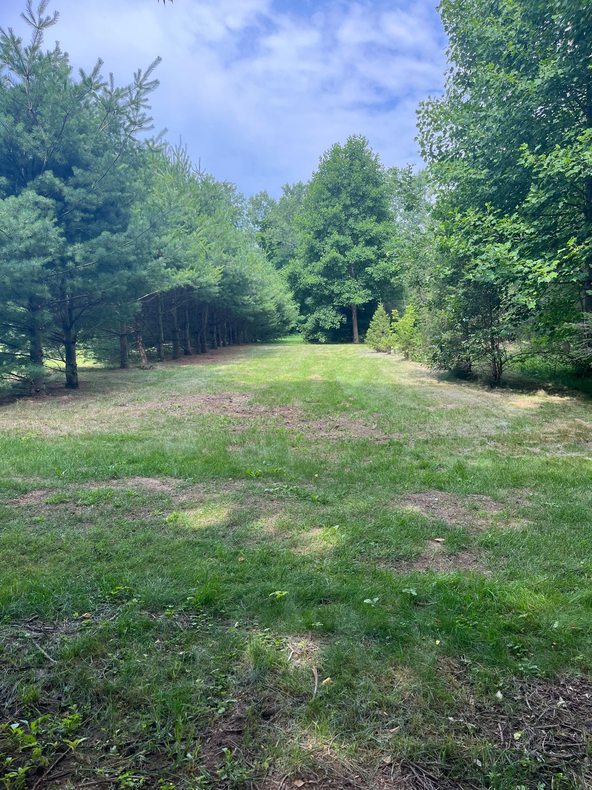 Hole #4 White Tee