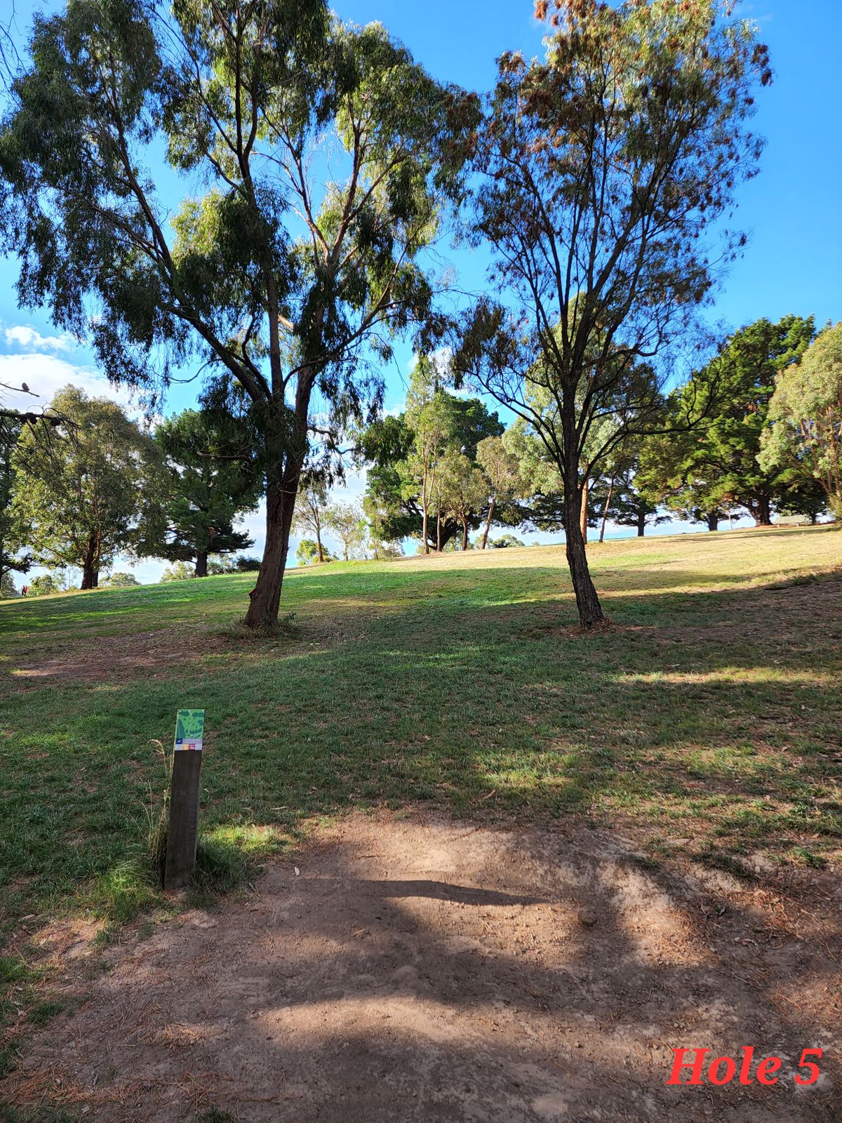80m uphill plays a lot further because of the elevation. Take a fast disc, throw to the right and let it fade back to the basket.