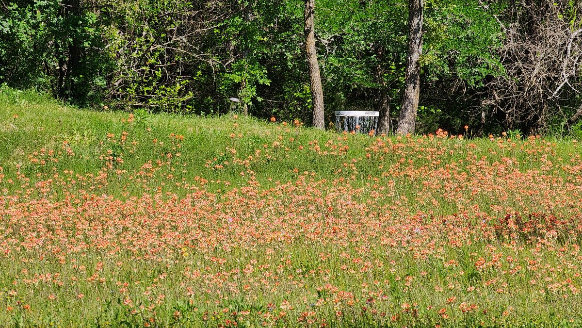 Hole 13 Buffalo Disc Golf Course