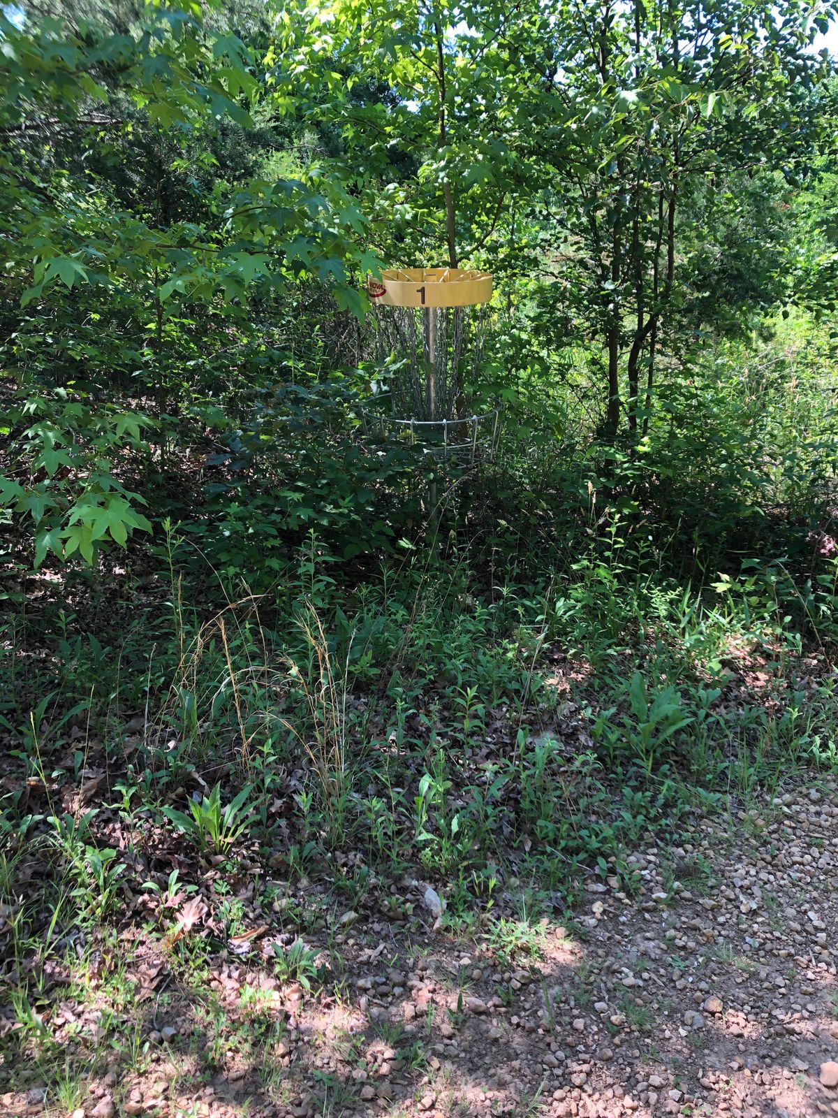 1st basket, completely covered by vegetation.