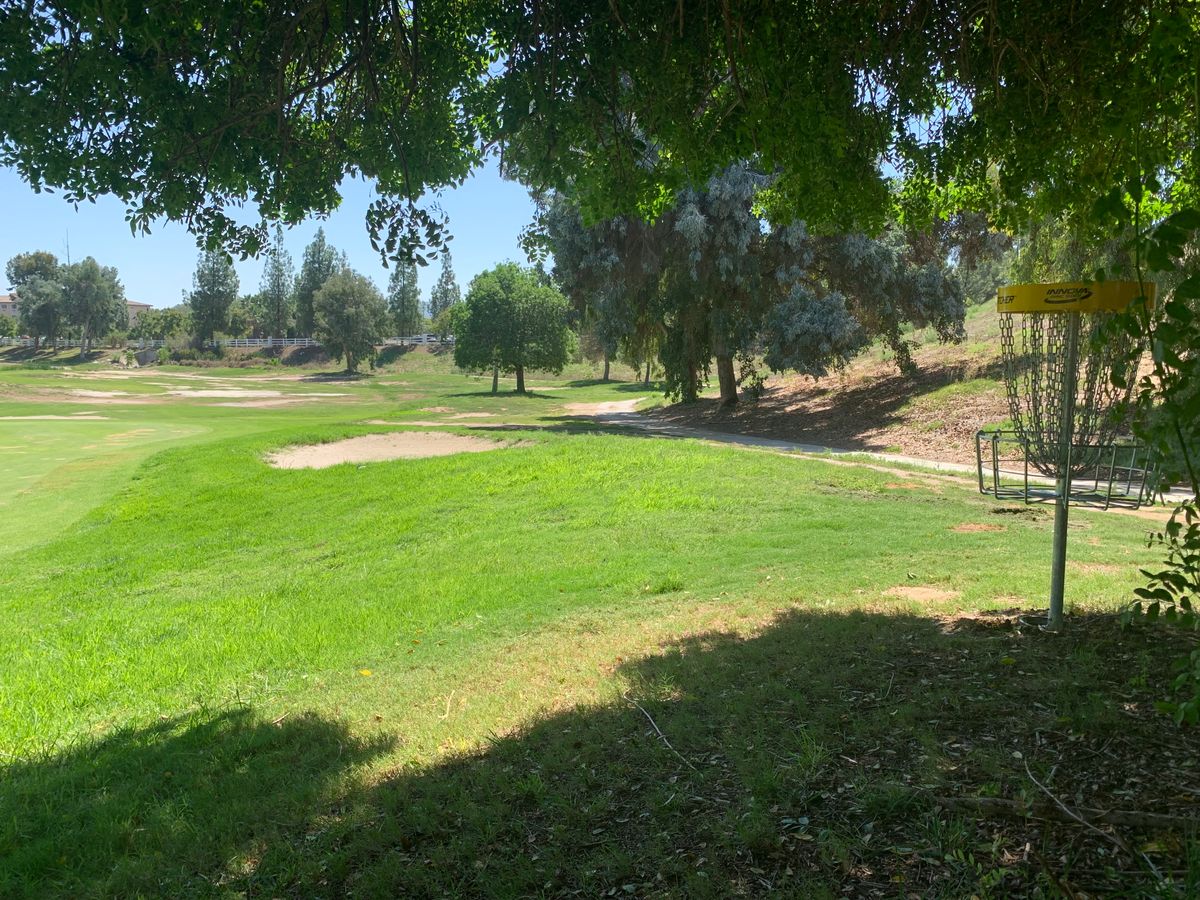 Omega Hole 7 Basket
