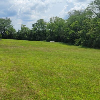 10's fairway once out of the woods. The newly planted trees on the right serve as the O.B. line for the fairway all the way to the green.