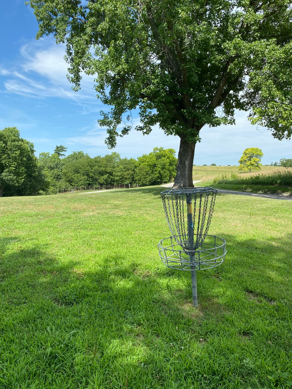 Hole 6 Basket to Tee