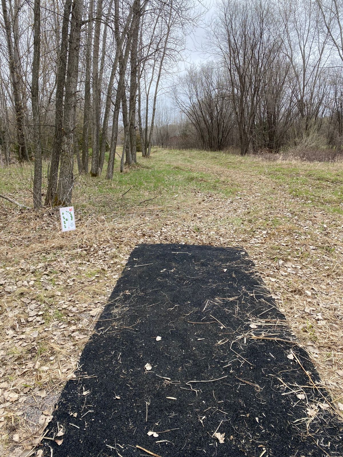 Hole 14 (April 2021)