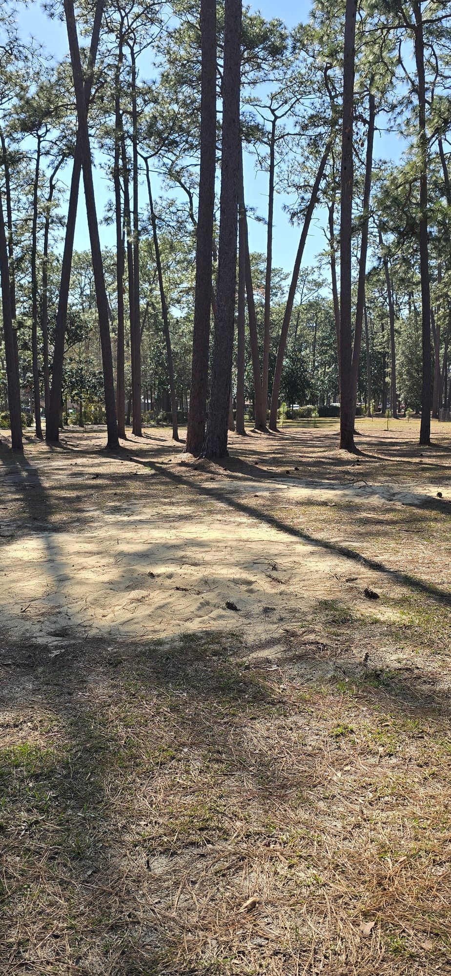 From hole 3 short pad