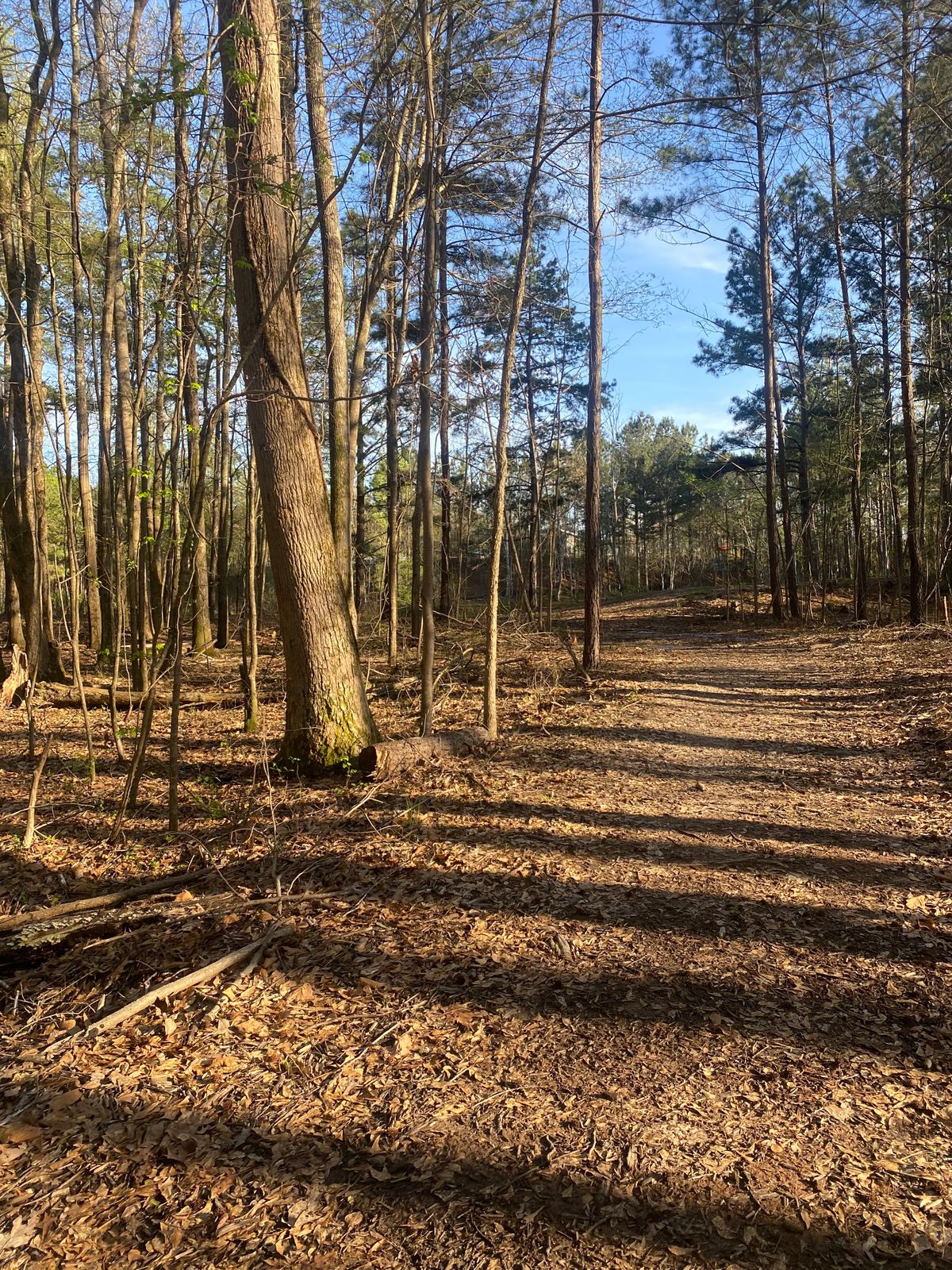 Path to 16