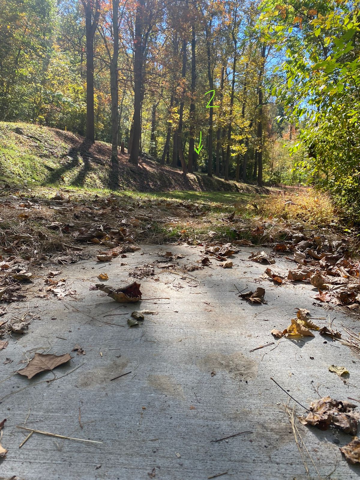 Hole 2 from tee pad