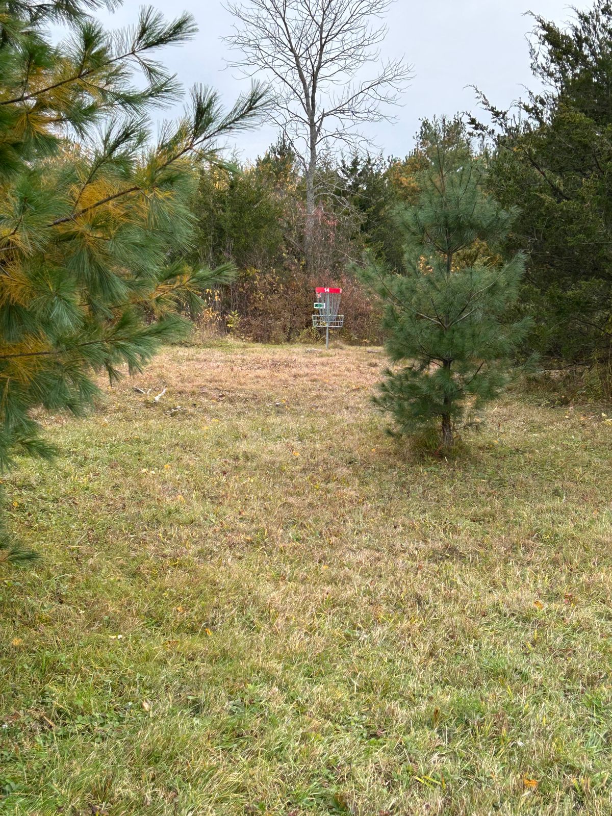 The original hole 14