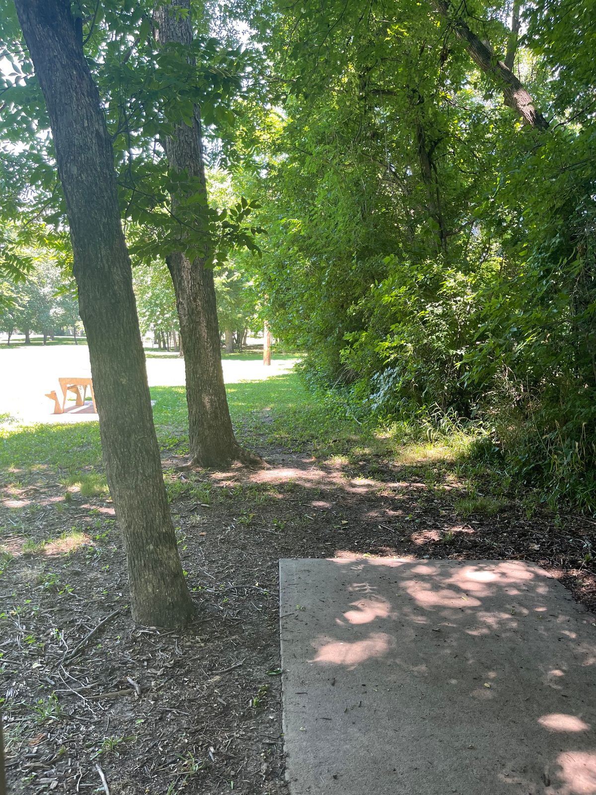 Hole 8 around tree line into trees.