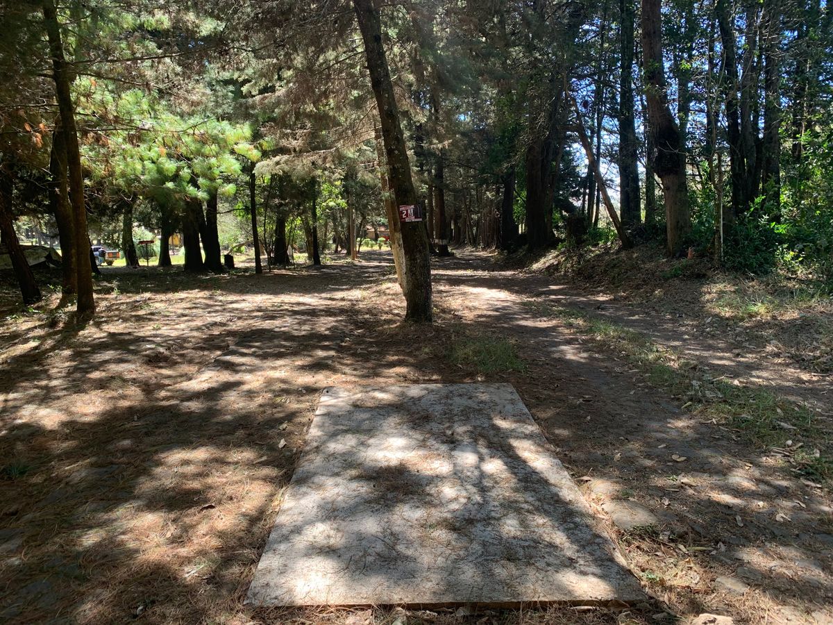 Hole #2 tee pad