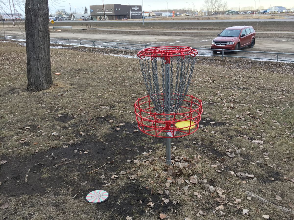 Hole 18 basket showing the parking lot