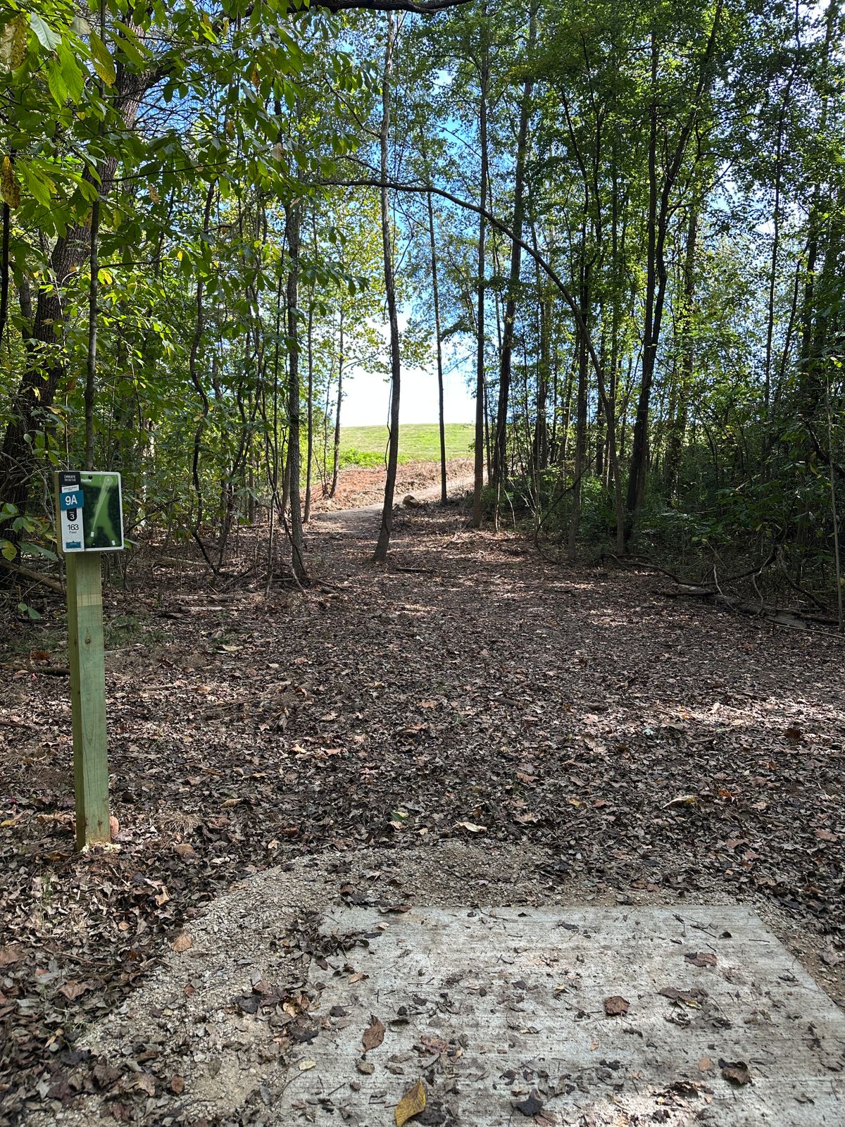 Hole 9 short tee.