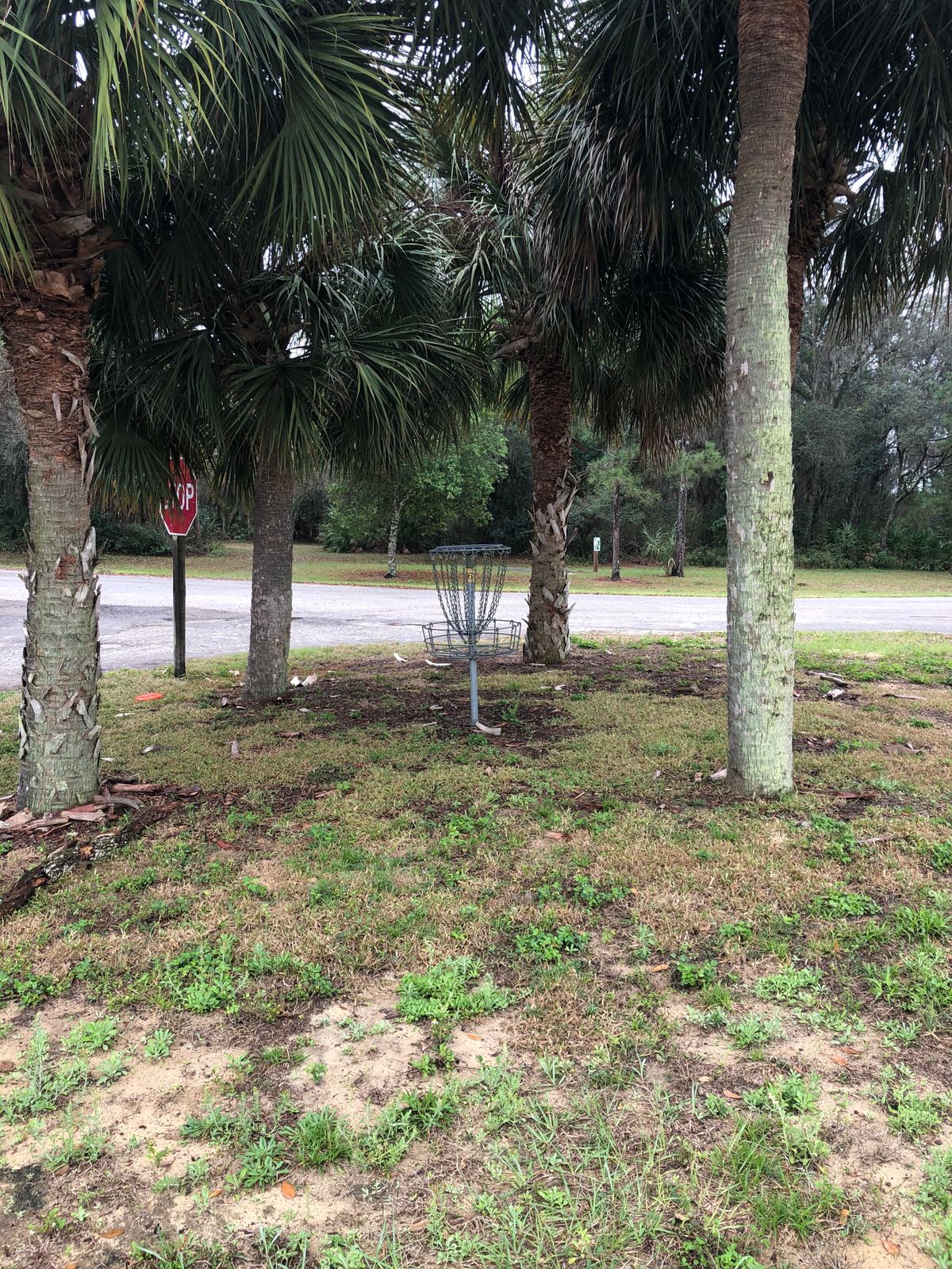 Hole 16 Basket