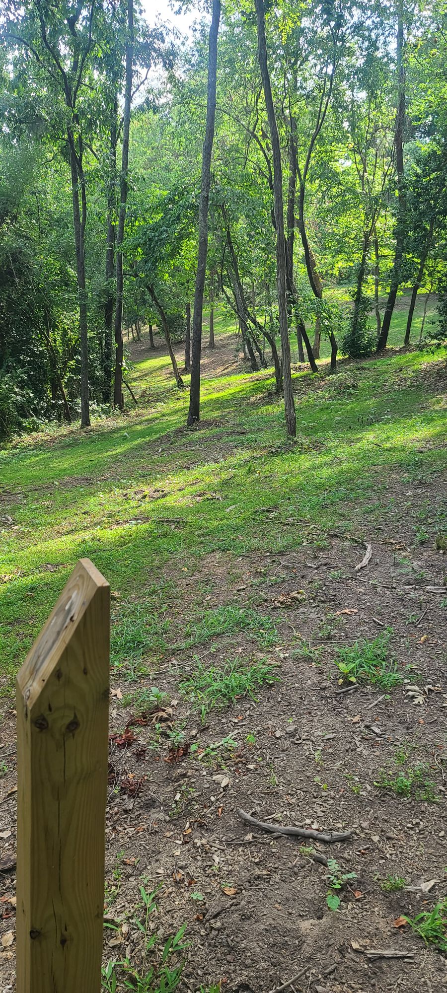 Hole 9
