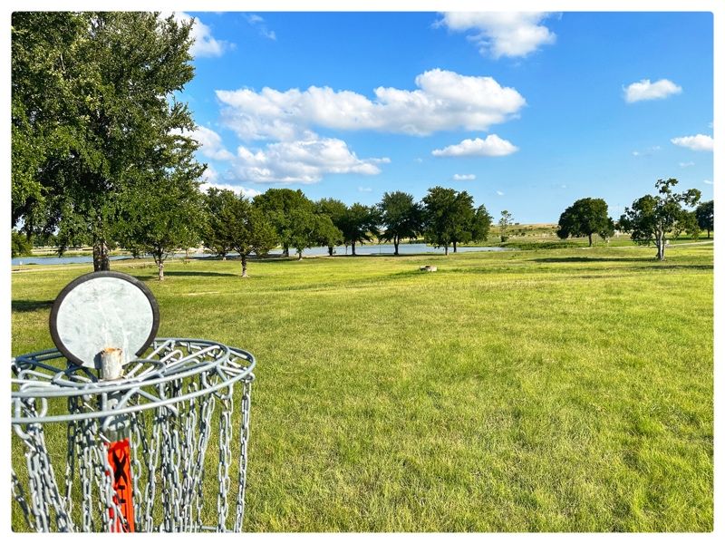 8 basket looking back to tee