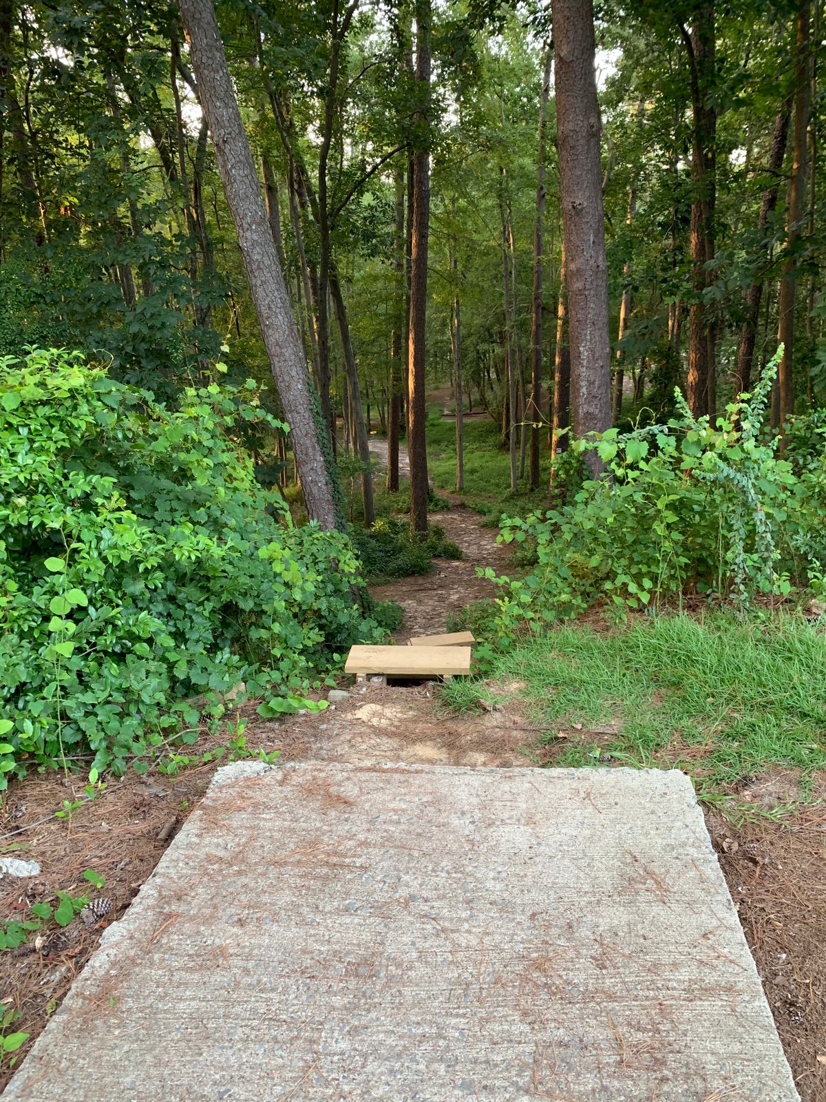 Hole 9 tee