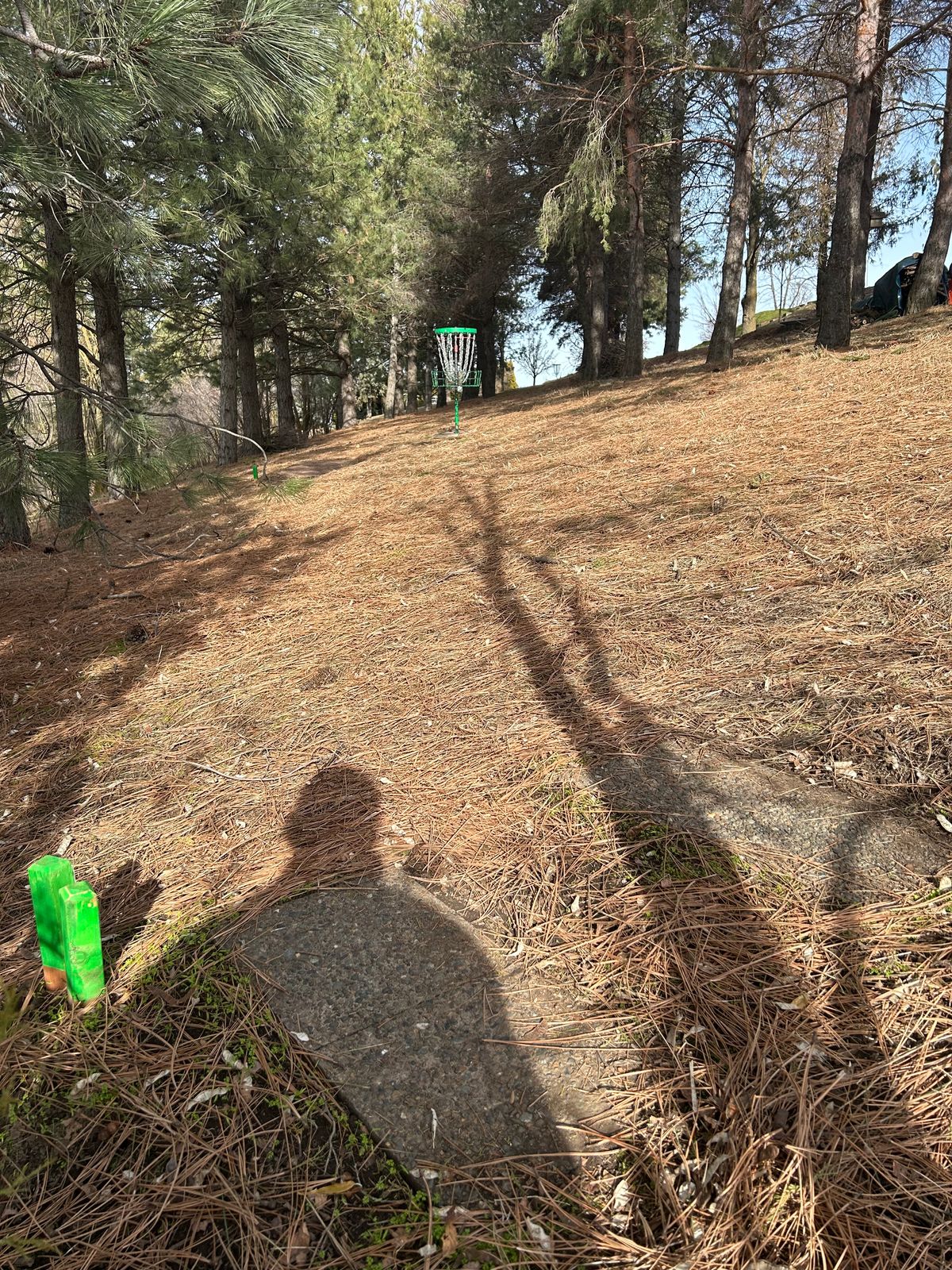 Hole #17. 215’. Hit the alley. Avoid green basket. You are throwing to the silhouetted basket.