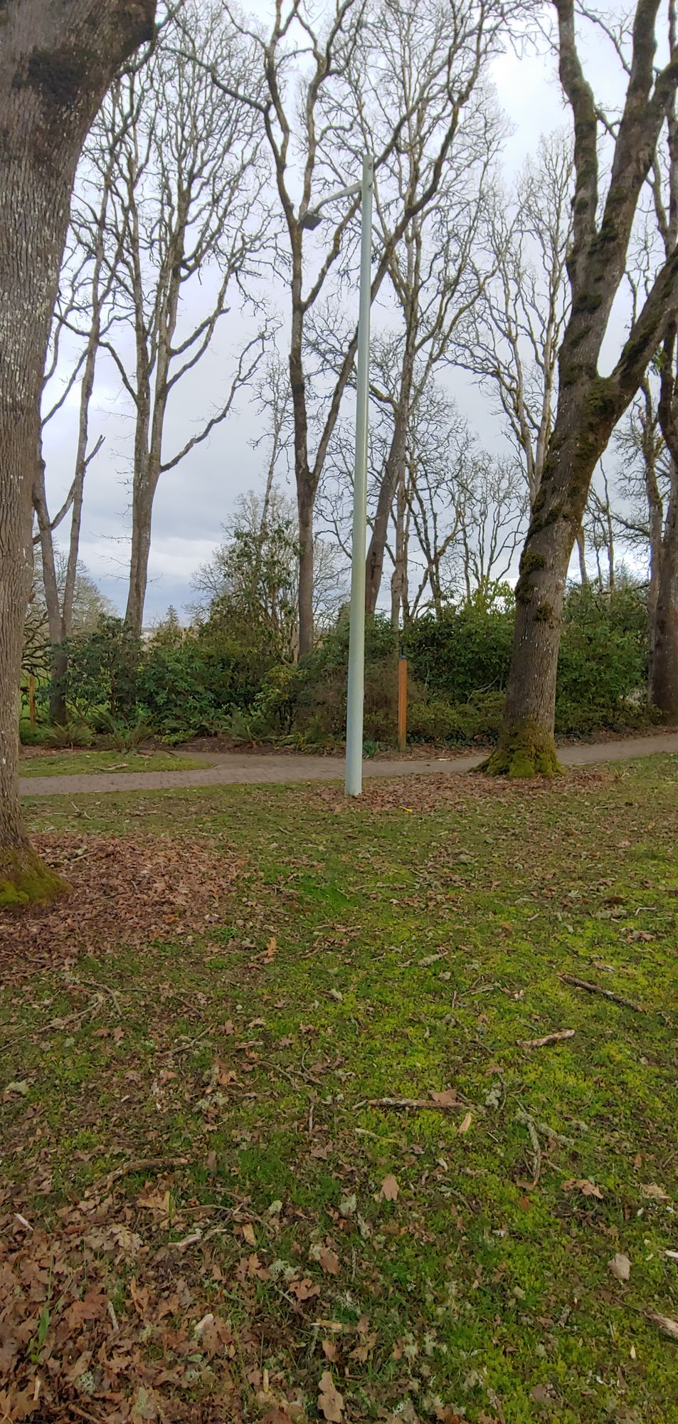 Hole 6 (lightpost)