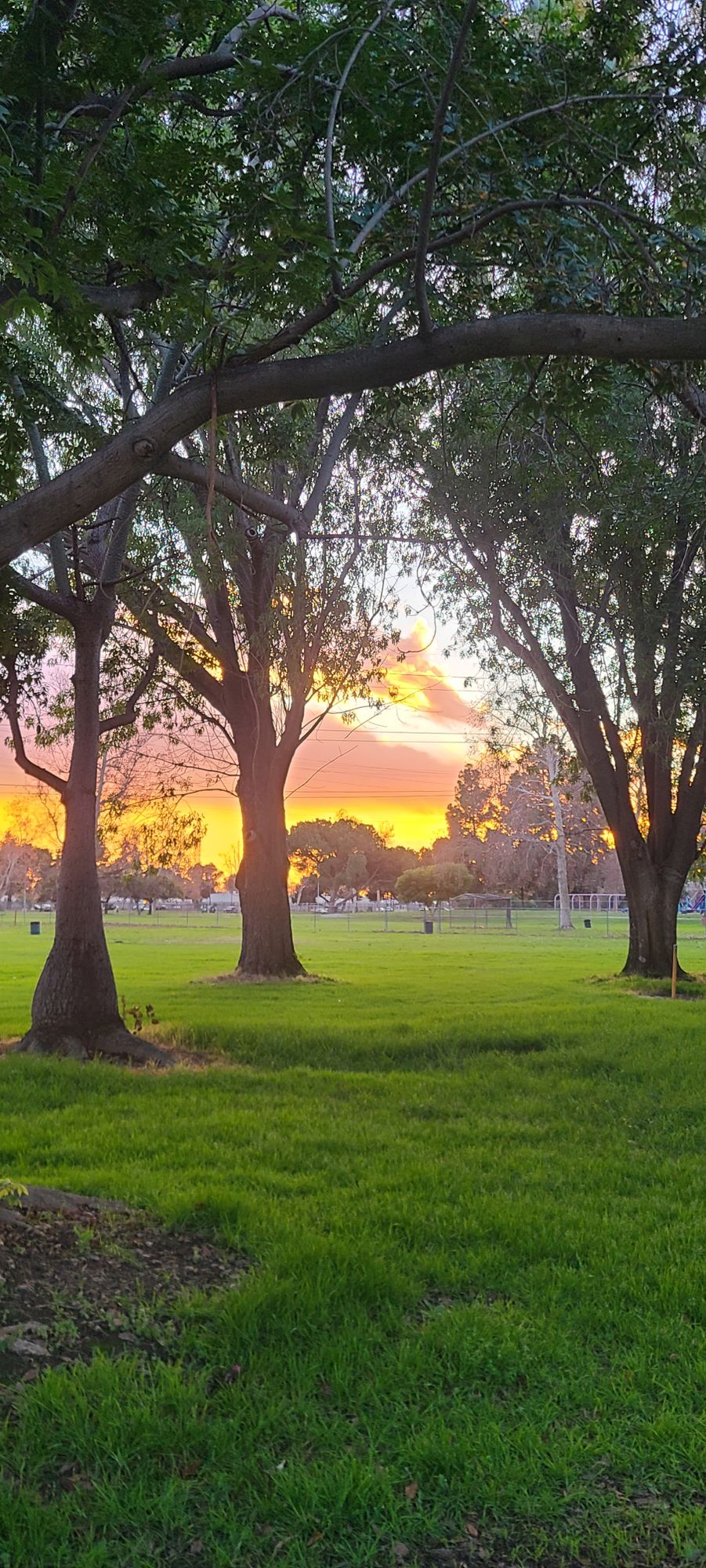 Sunset at the Narrows 🥏