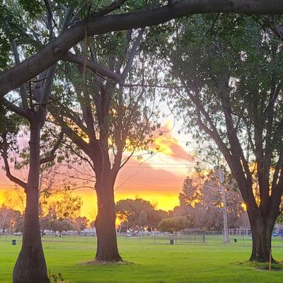 Sunset at the Narrows 🥏
