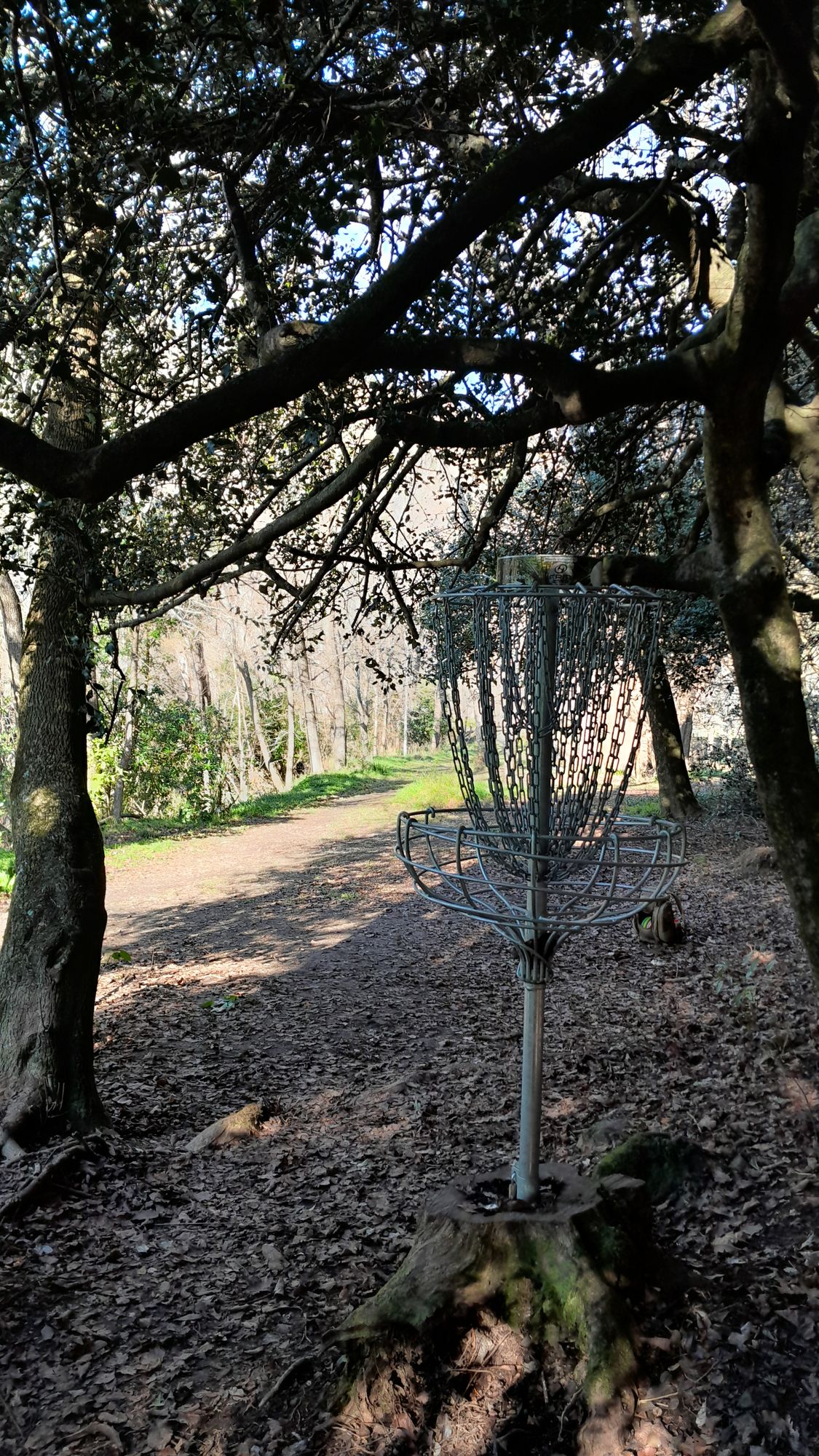 Hole 11 green