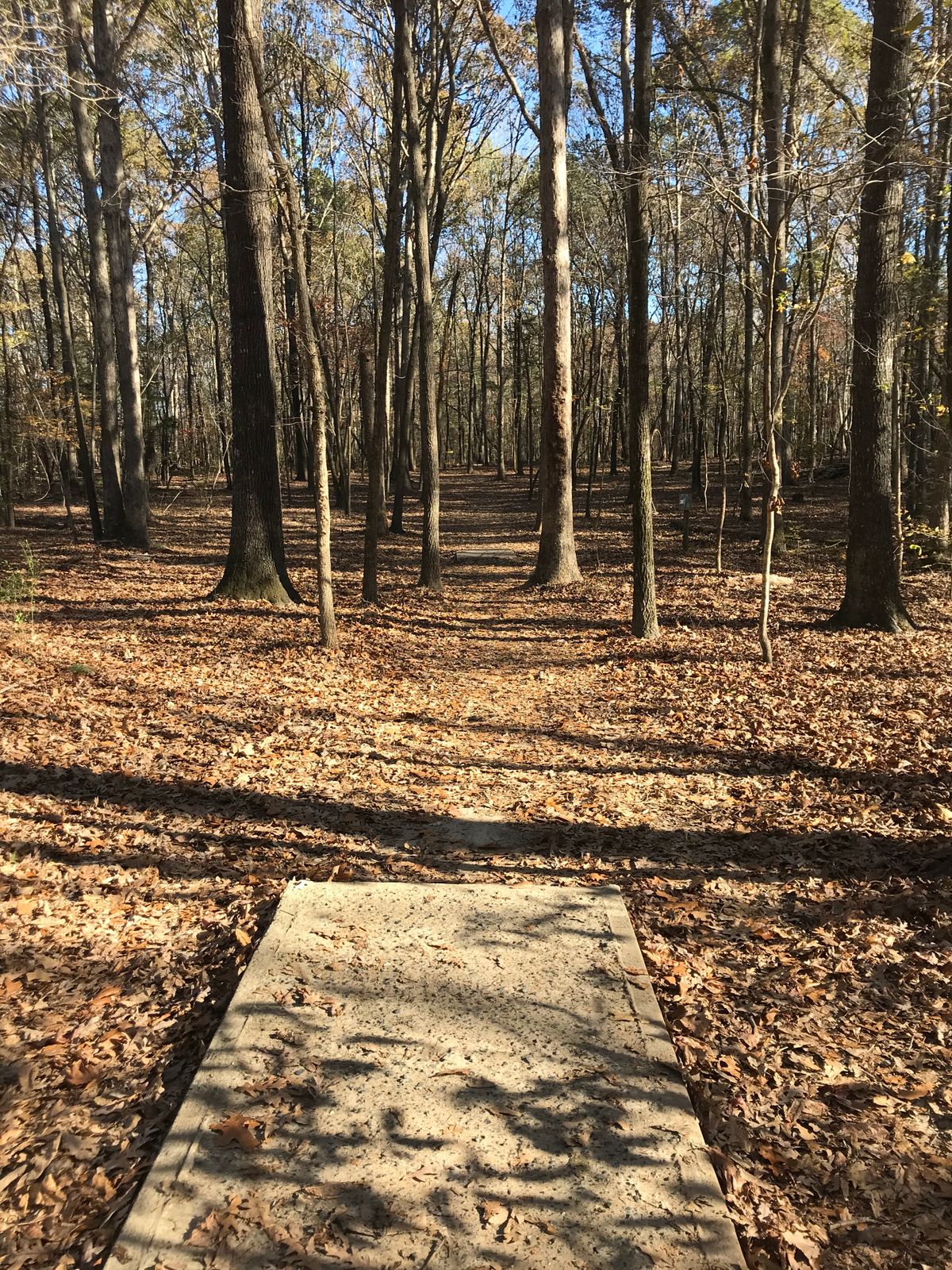 Hole #4 Long Shot Platform