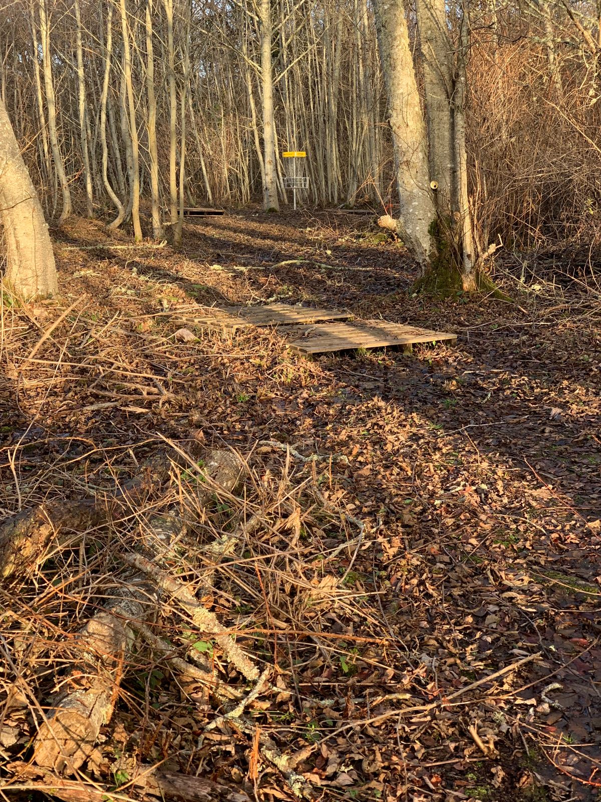 Christmas Eve play. Because of all the rain lately, it’s a bit muddy. Owner was super nice.