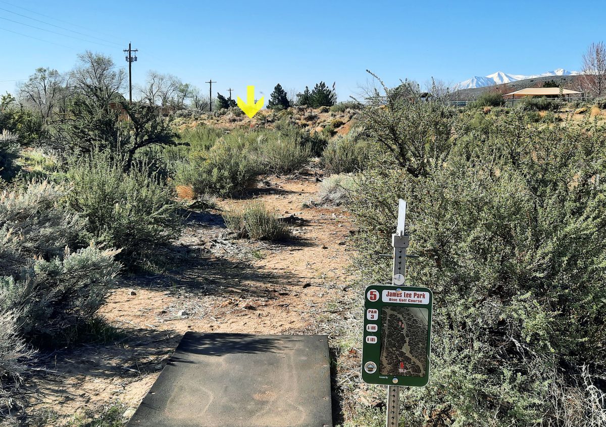 Hole 5. Shortest hole - but heavily guarded green.