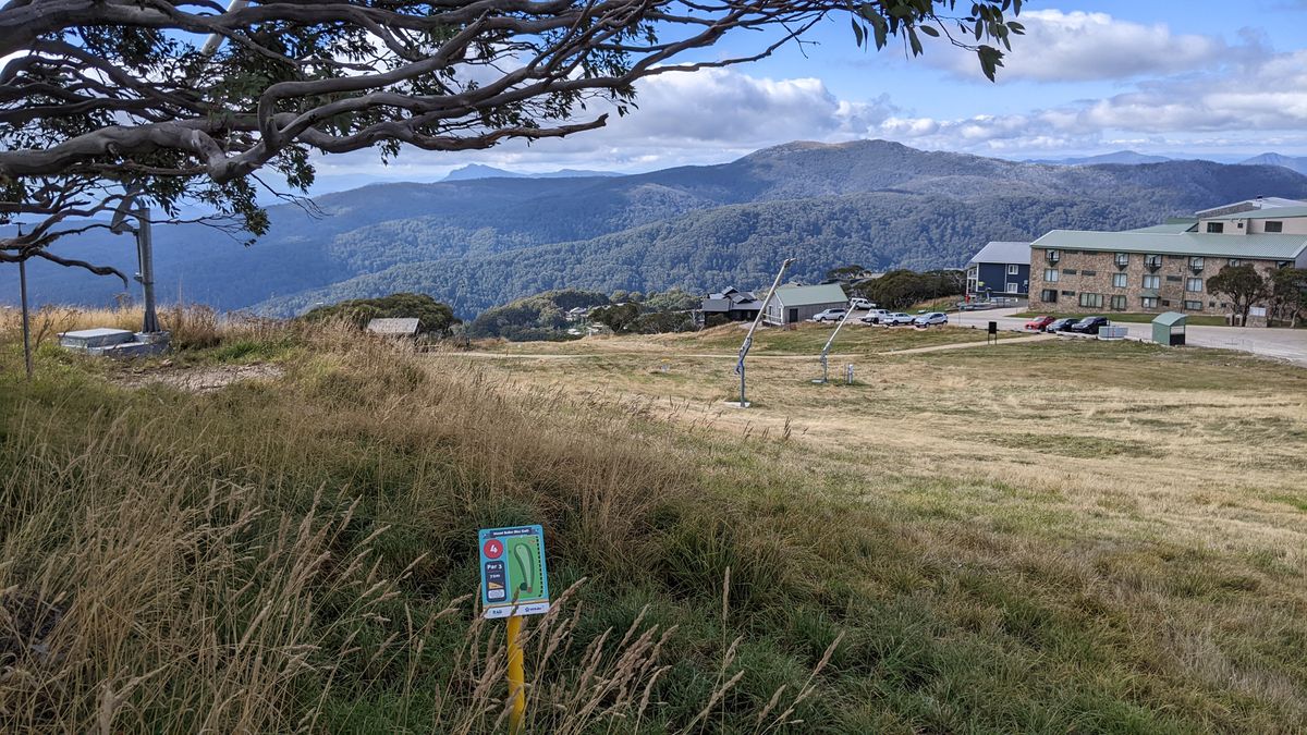 Teepads no.4. Basket at bottom of the hill.