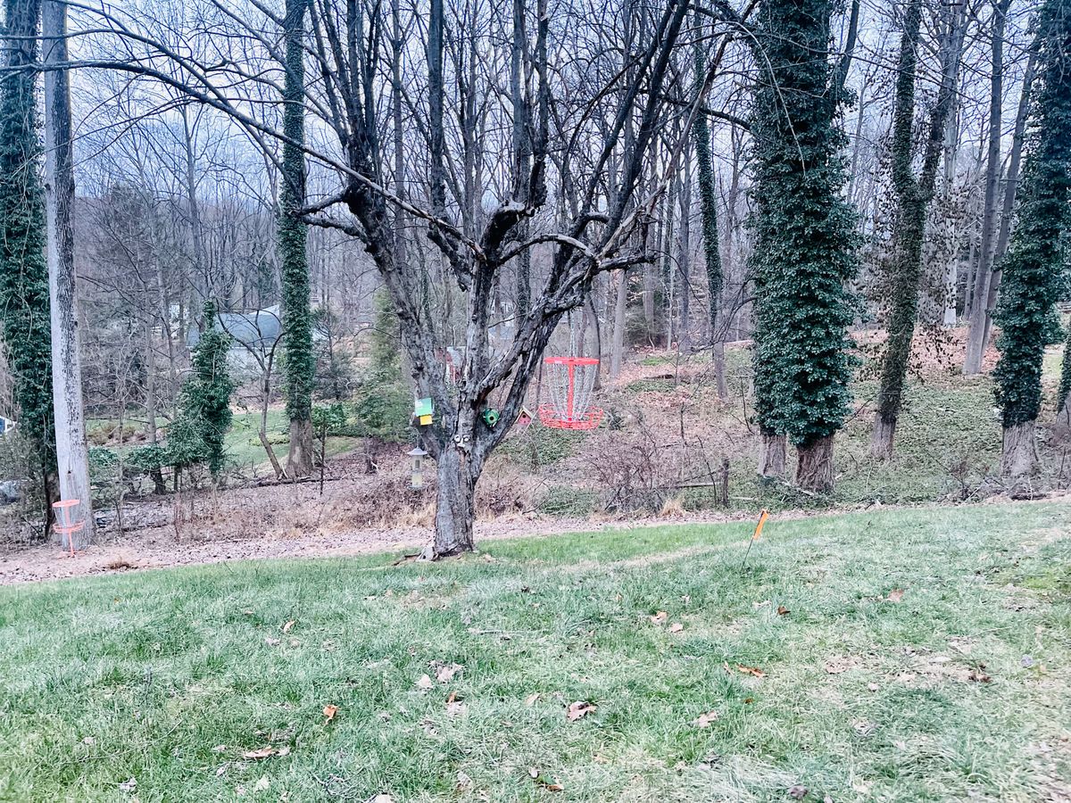 Hole 10 Basket