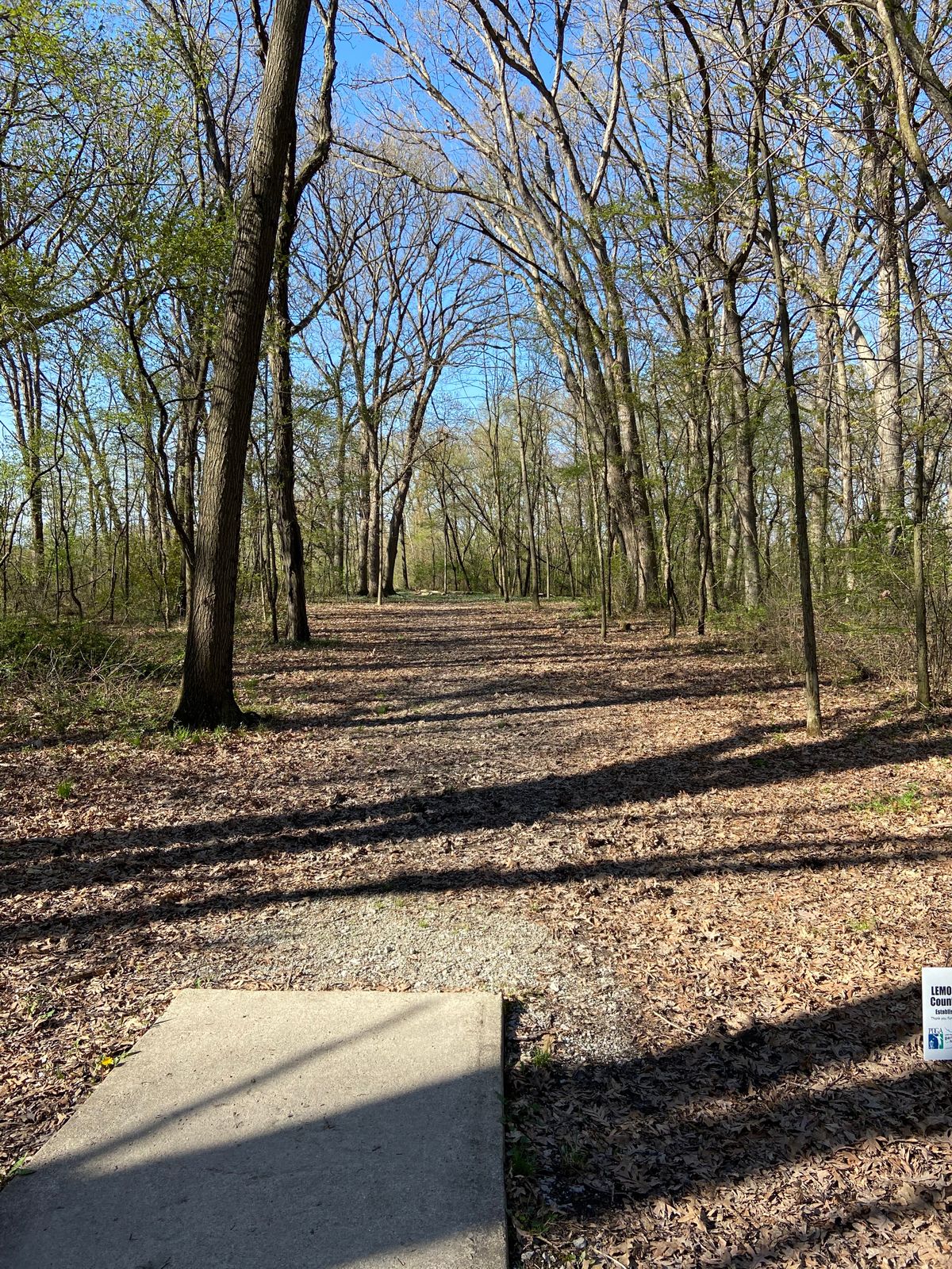 Hole 5. Par 4 at 549 feet. Left at the end of the trees. Then it opens up after that.