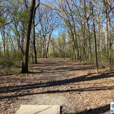 Hole 5. Par 4 at 549 feet. Left at the end of the trees. Then it opens up after that.
