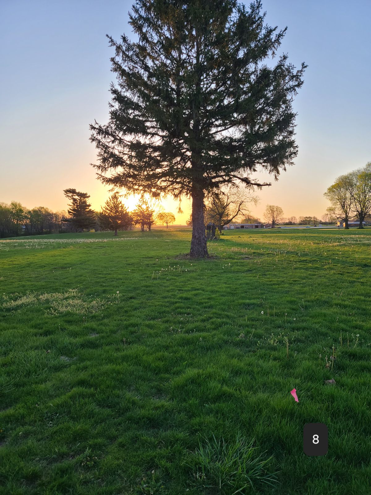 Hole 8
