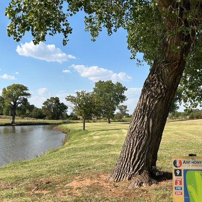 Hole 9