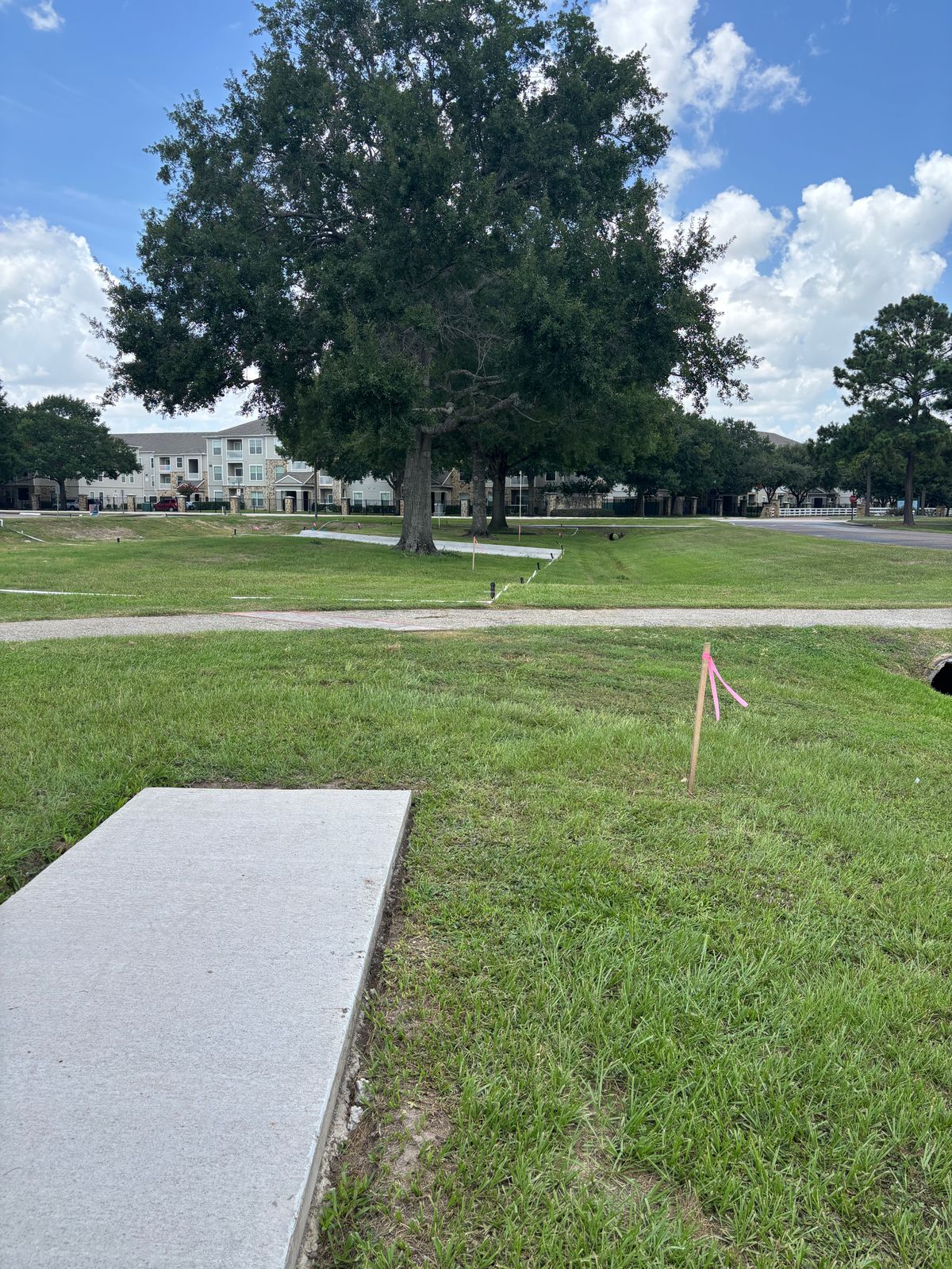 Hole 2 tee to basket