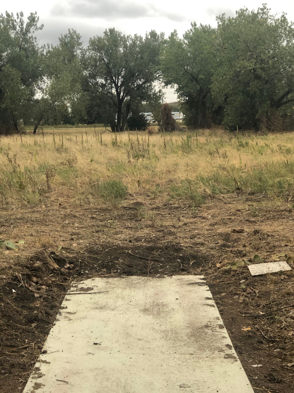 Hole 7- par 4