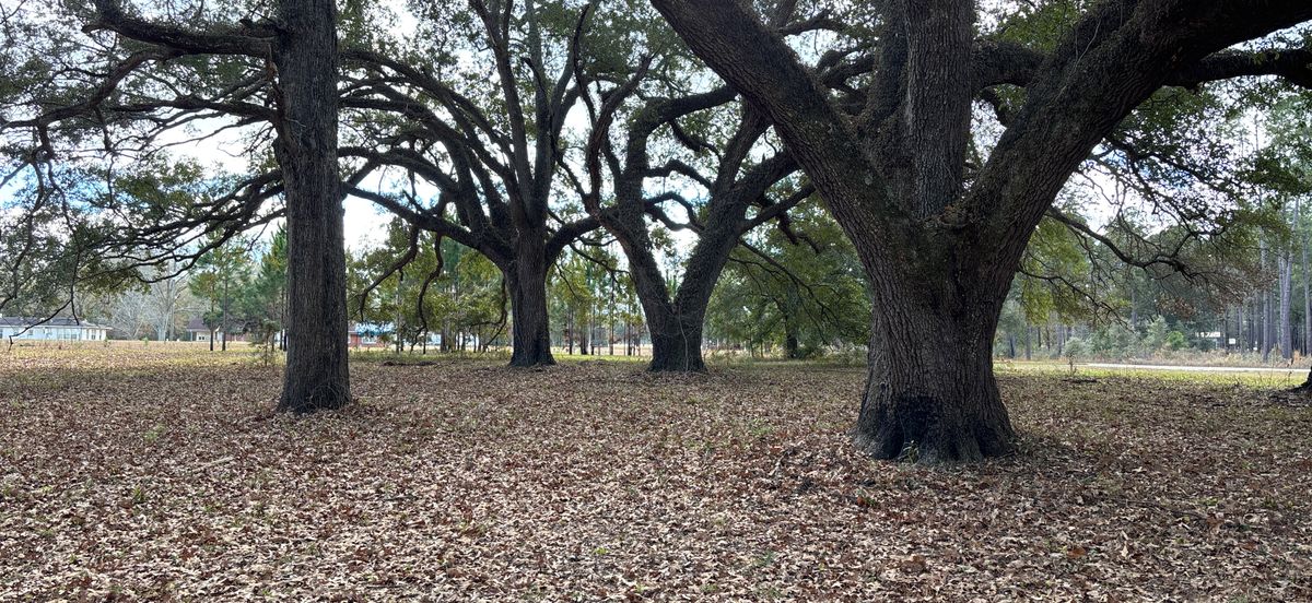 Hole 15 Red