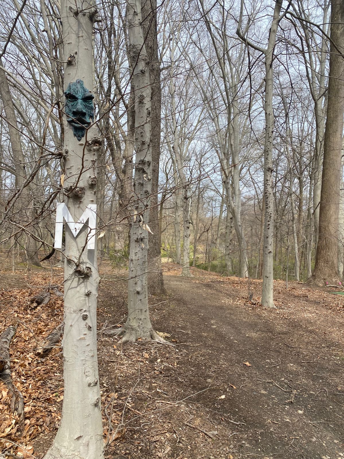 Hole 8.  The mando is a lot more imitating now.