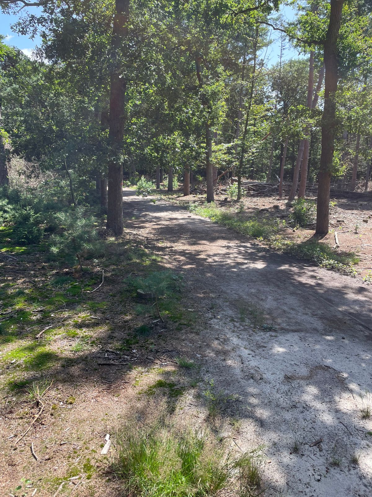 hole 11